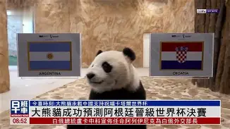 阿根廷队世界杯成绩