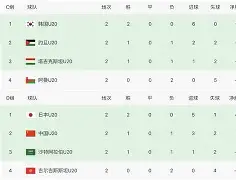 九游网页版-法国队ds